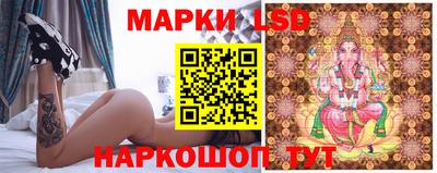 apvp Владимир