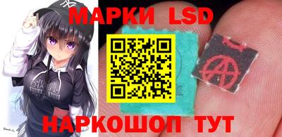 apvp Владимир