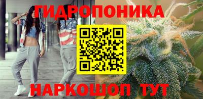 apvp Владимир