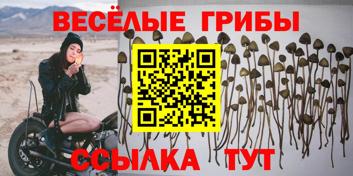 Псилоцибиновые грибы мухоморы Костомукша