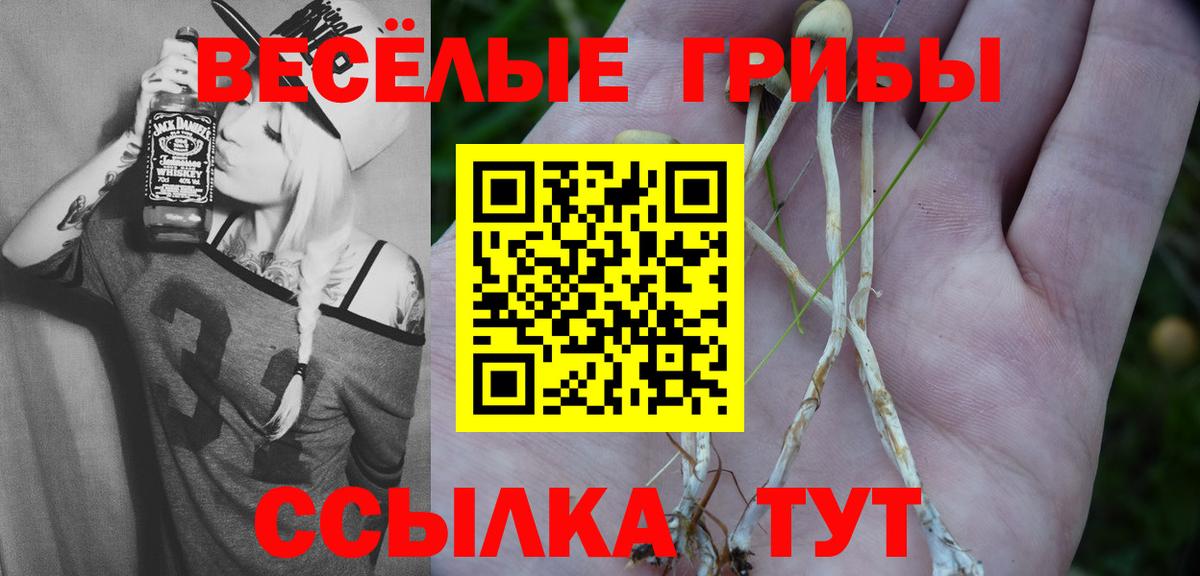 Псилоцибиновые грибы ЛСД  Вход с VPN  Костомукша 